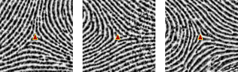 Delta (Fig.1-1)